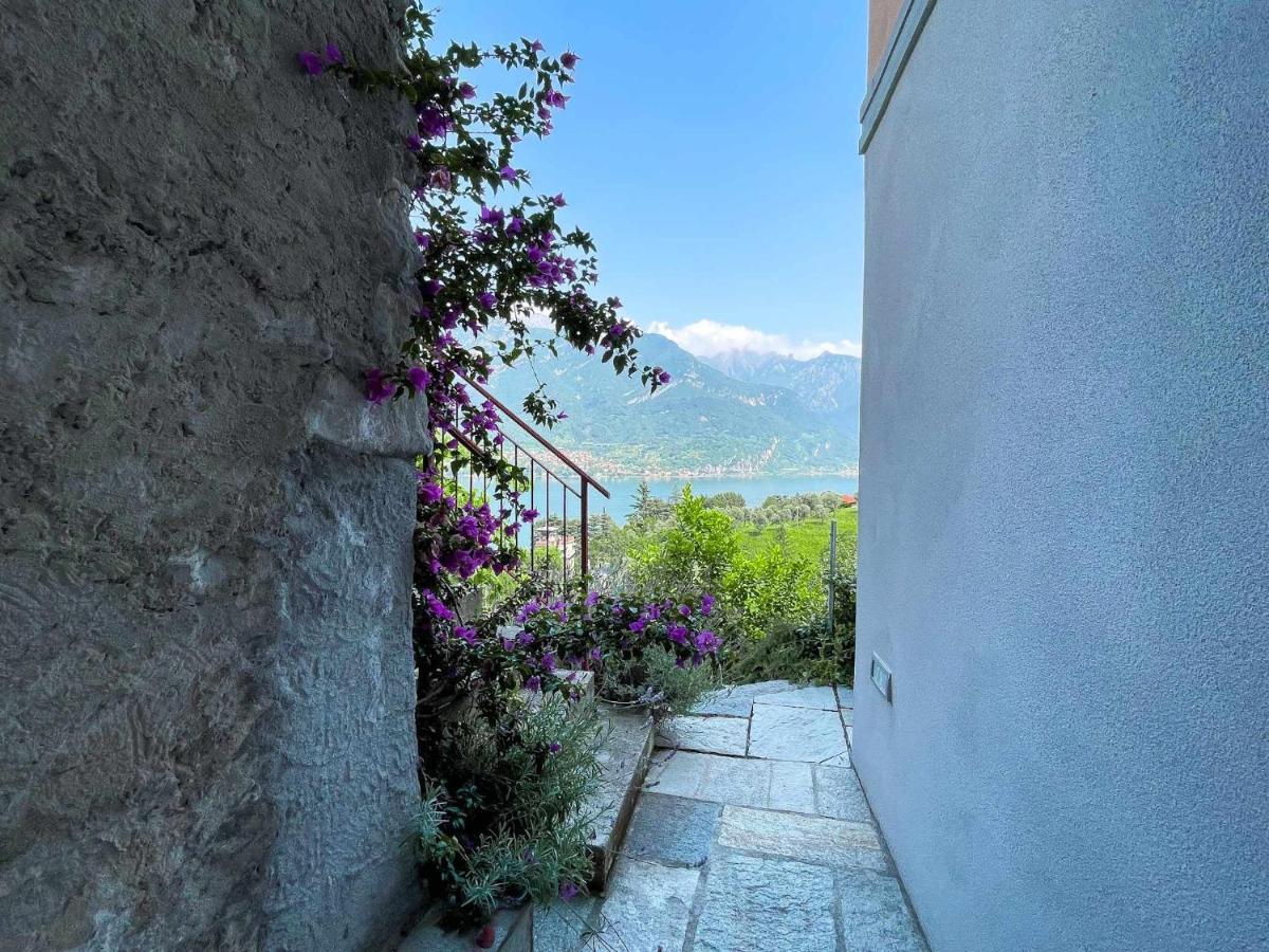Antico Torchio Apartment Limonta Eksteriør bilde